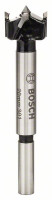 BOSCH 2608597604 Sukovník s tvrdokovem a předřezovými hroty 20 x 90 mm, d 8 mm